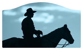 DASHELL-360-BL Cowboy Blue